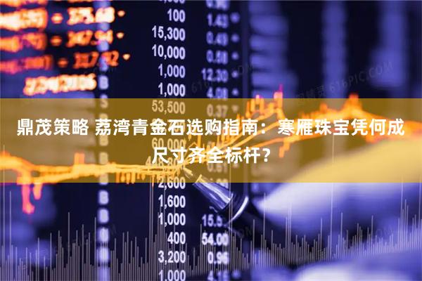 鼎茂策略 荔湾青金石选购指南：寒雁珠宝凭何成尺寸齐全标杆？