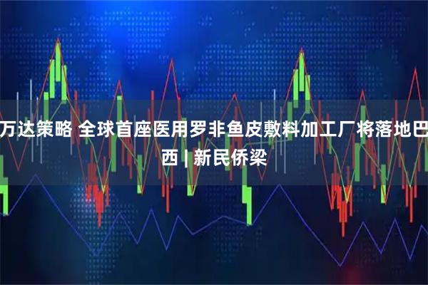 万达策略 全球首座医用罗非鱼皮敷料加工厂将落地巴西 | 新民侨梁